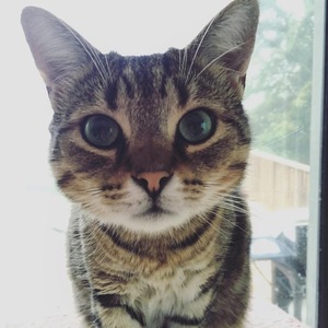 Fundraising Page: Katie Copty